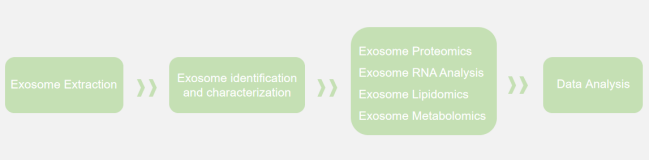 Figure 2:Technical flow chart of exosome polyomics.