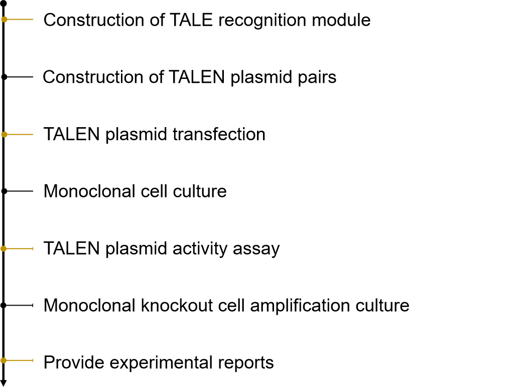 Fig. 2. Our service process - Lifeasible